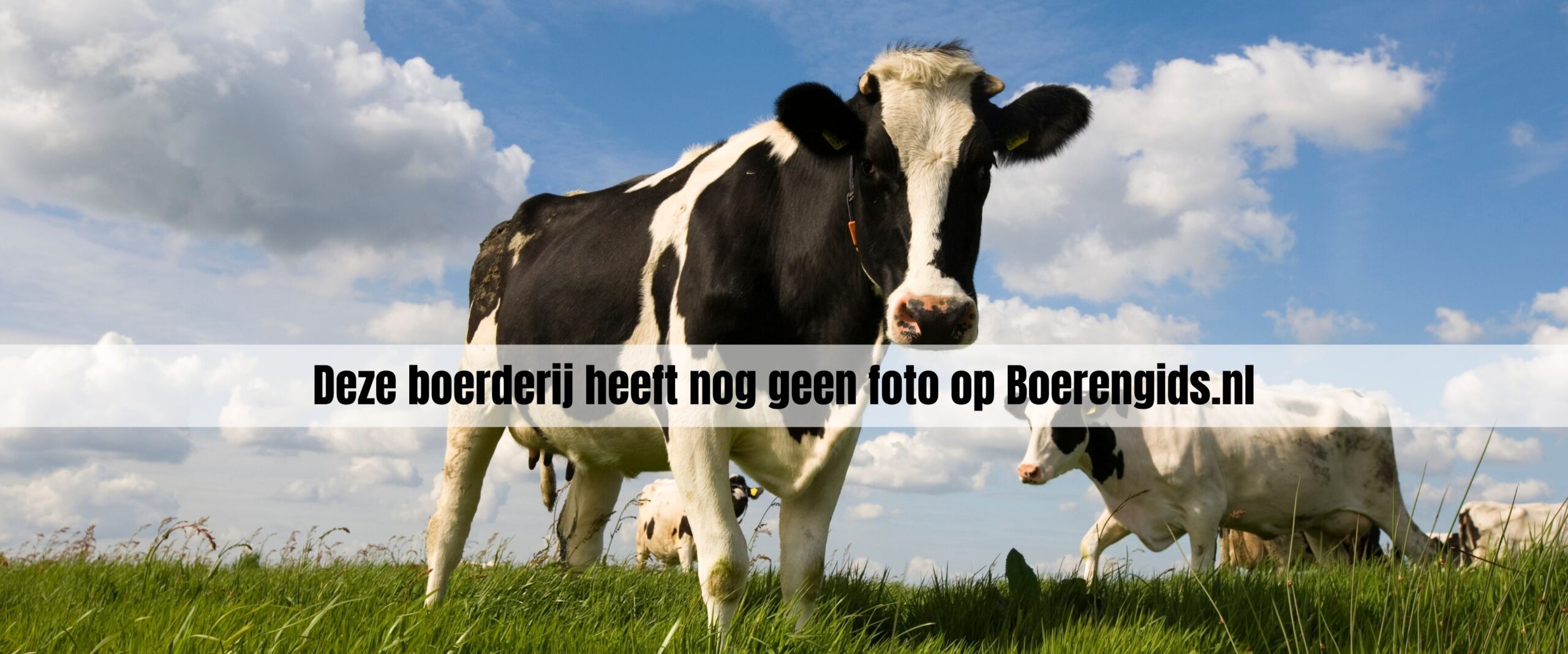 Nicolaashoeve Beemster