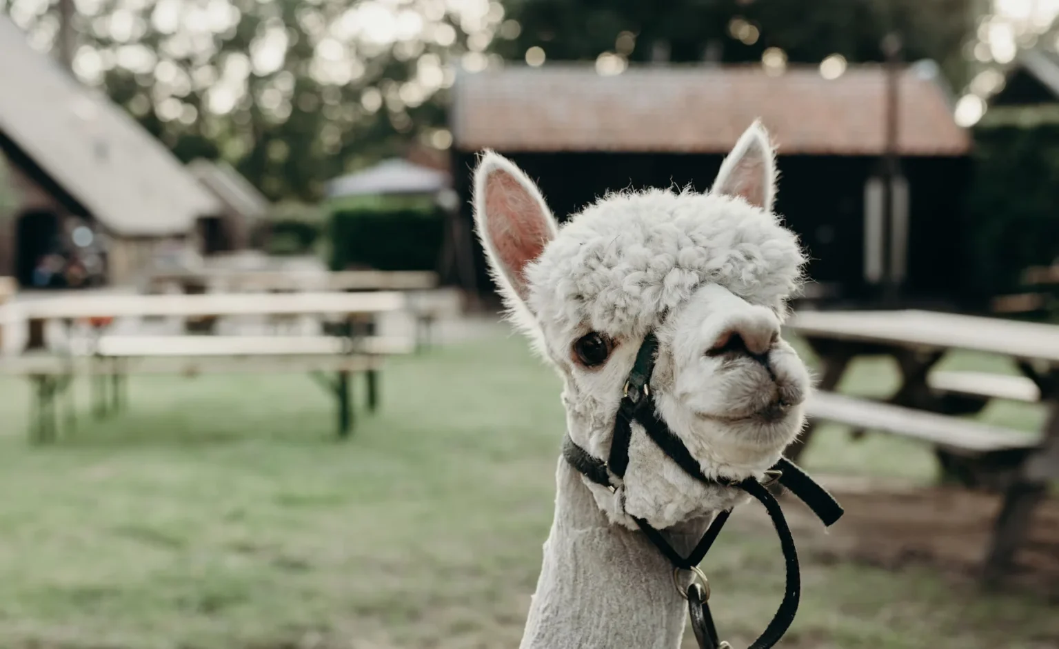 BoerenBed Landgoed Volenbeek