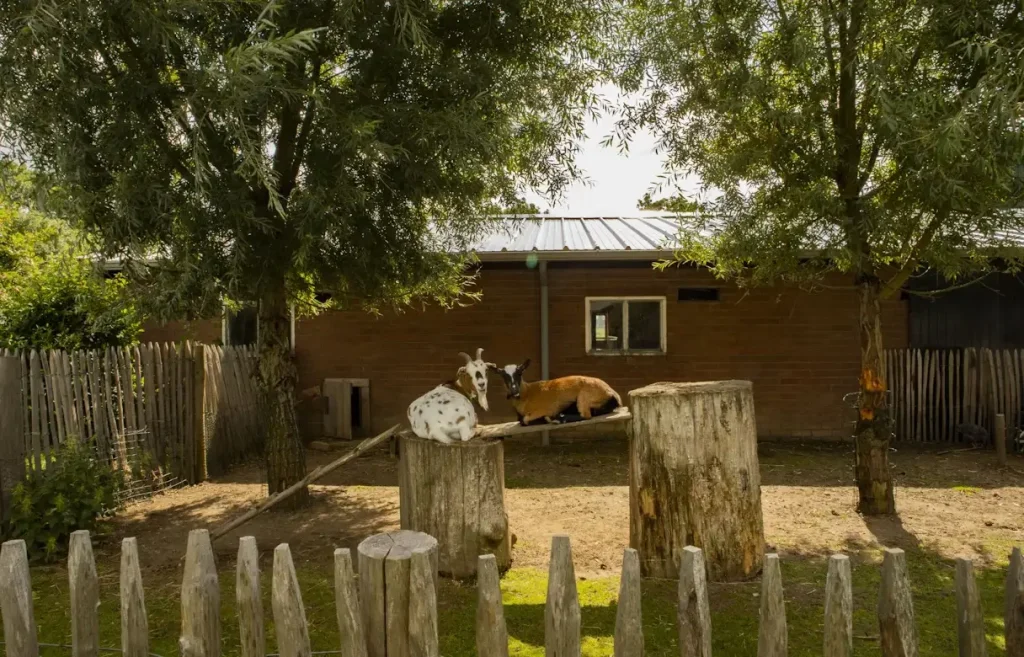 BoerenBed Betuwe