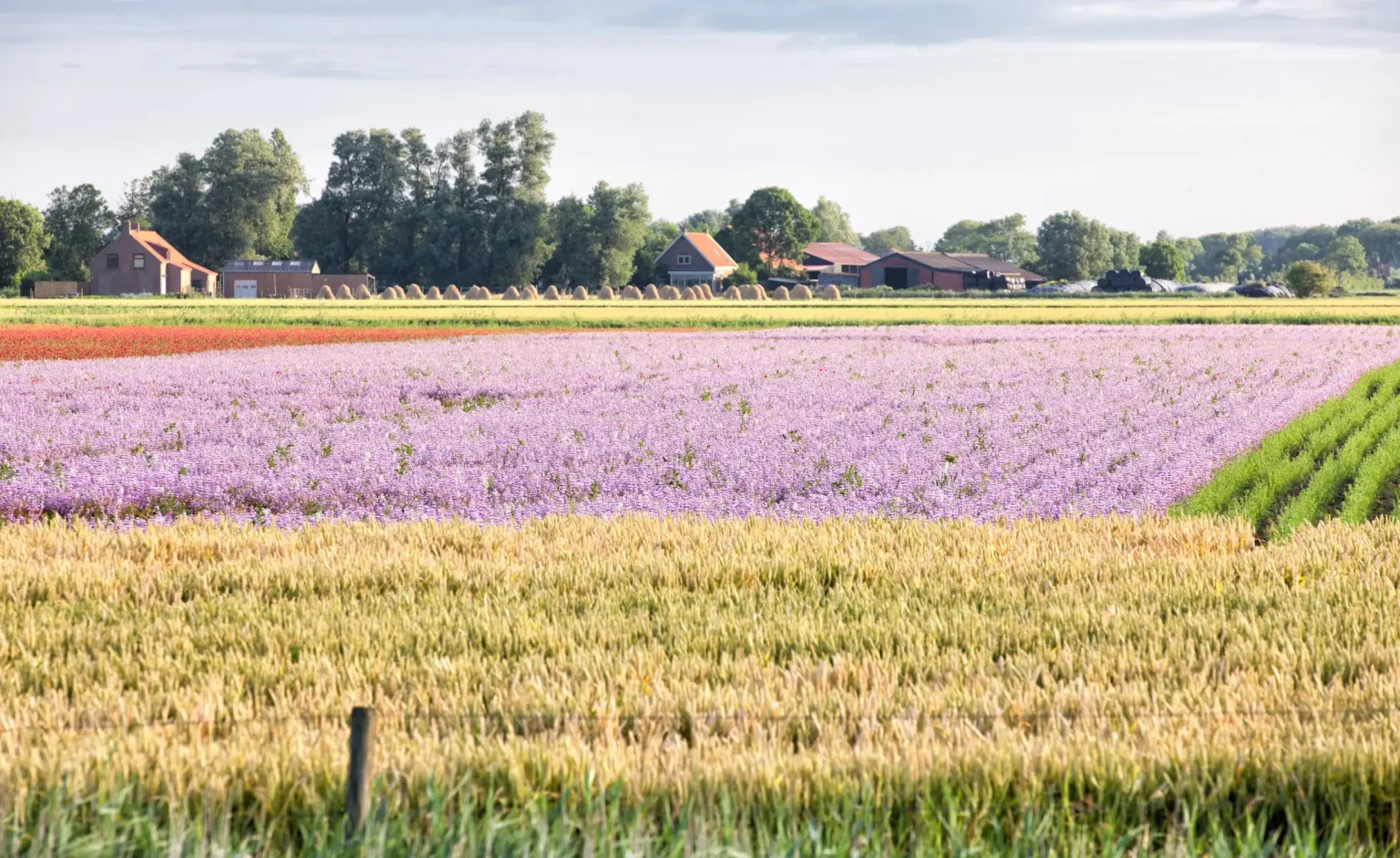 BoerenBed Hoeve Zeeland