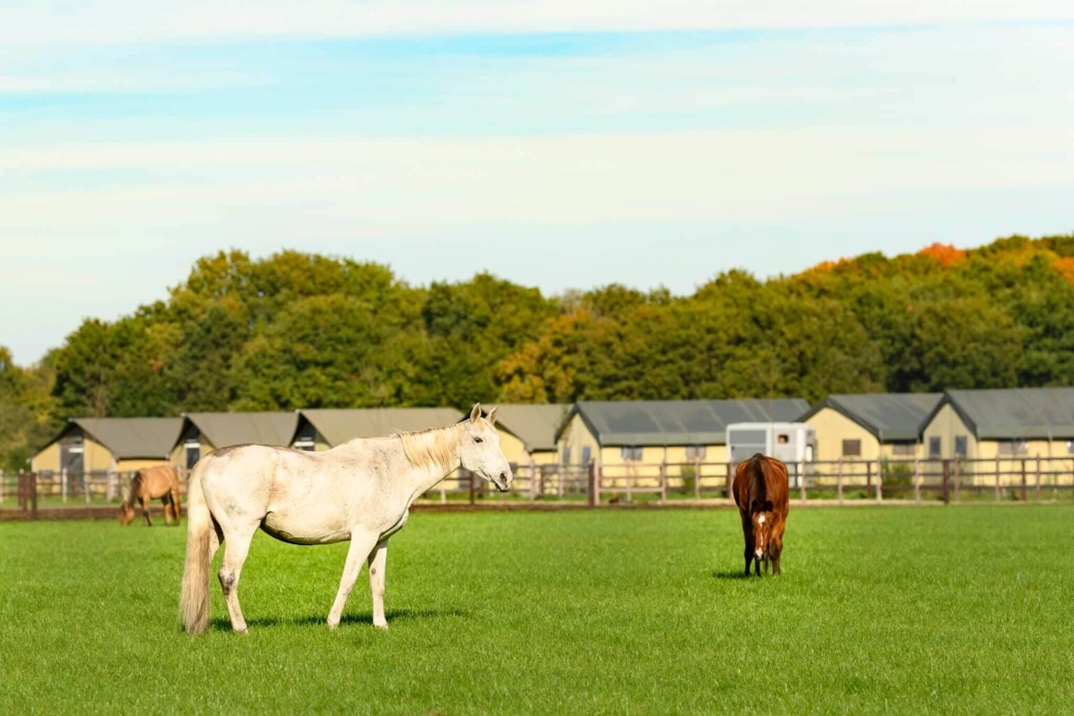 FarmCamps De Smulhoeve