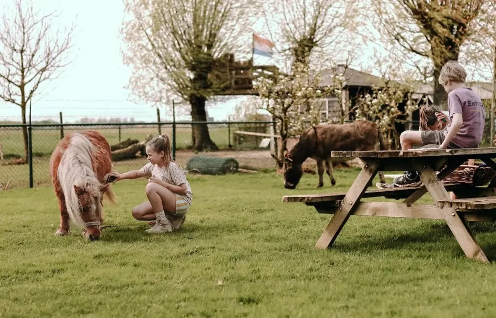 Hoeve de Betuwe
