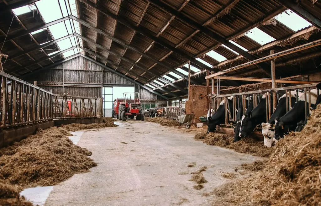 Stal BoerenBed Botterheerd