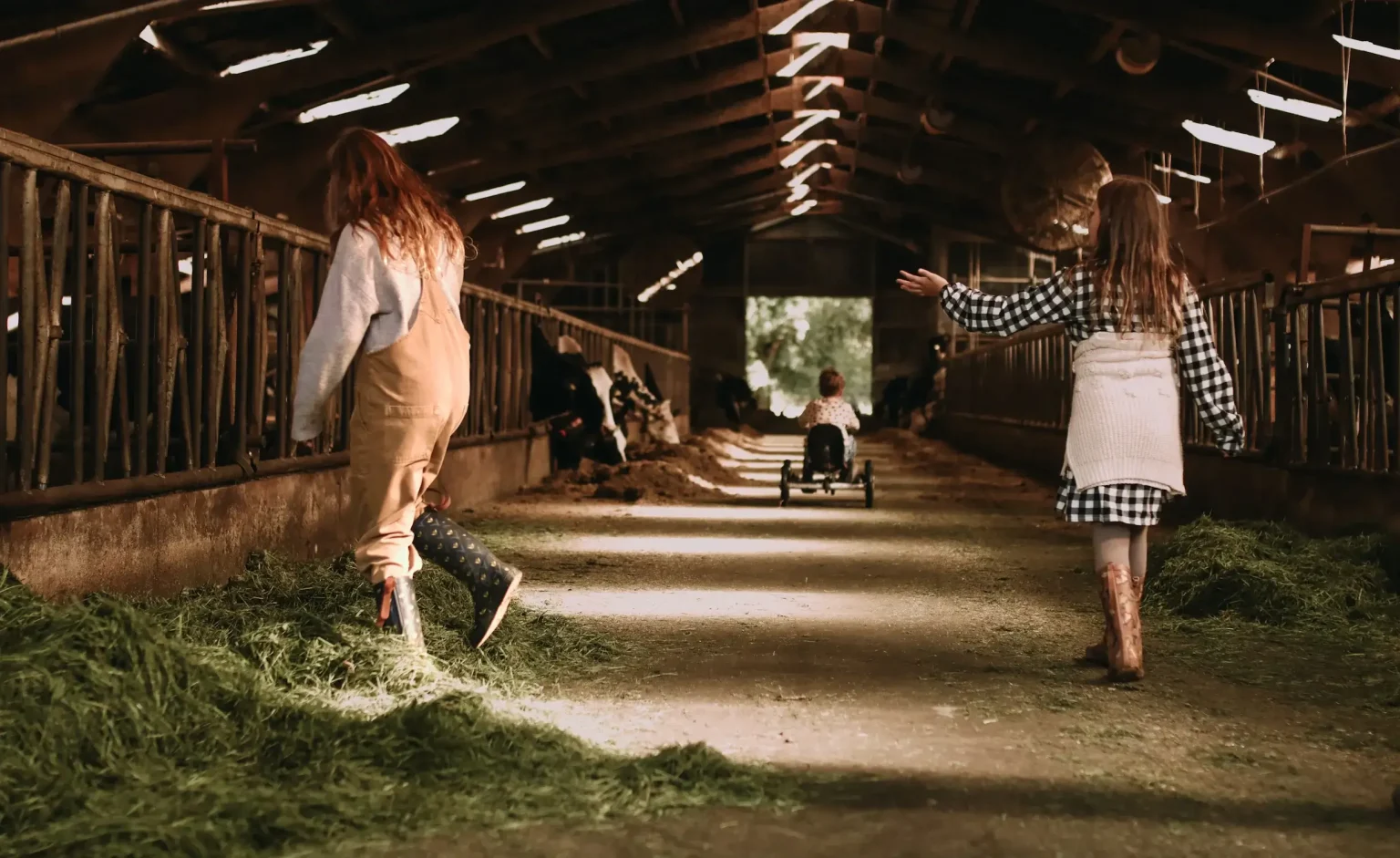 BoerenBed Hoeve De Pippert
