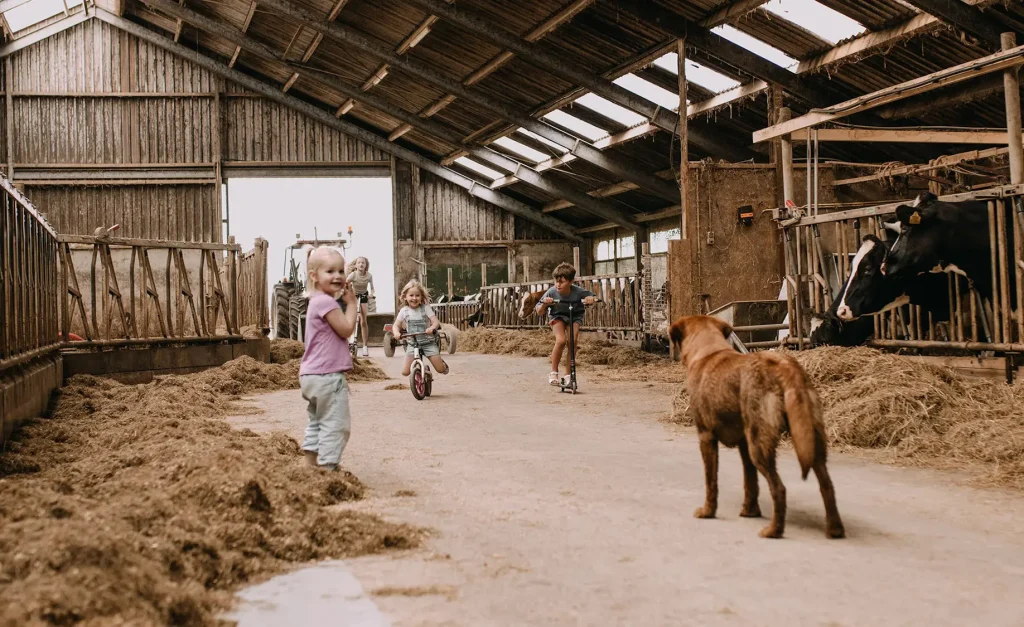 Stal met kinderen BoerenBed Botterheerd