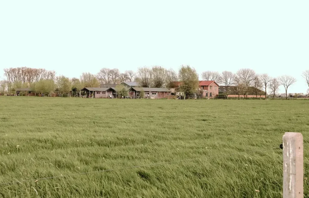 Uitzicht op BoerenBed Hoeve de Betuwe