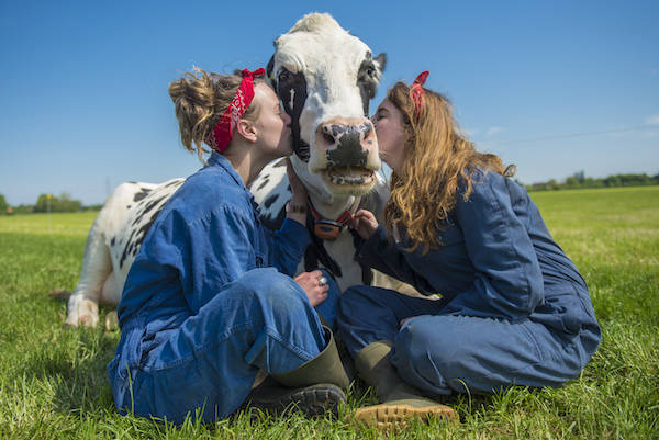 Noord Empe knuffelen Noord Empe knuffelen