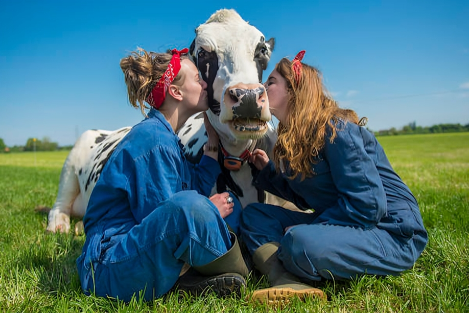 Wat zijn de leukste activiteiten met dieren op de boerderij? Noord Empe knuffelen
