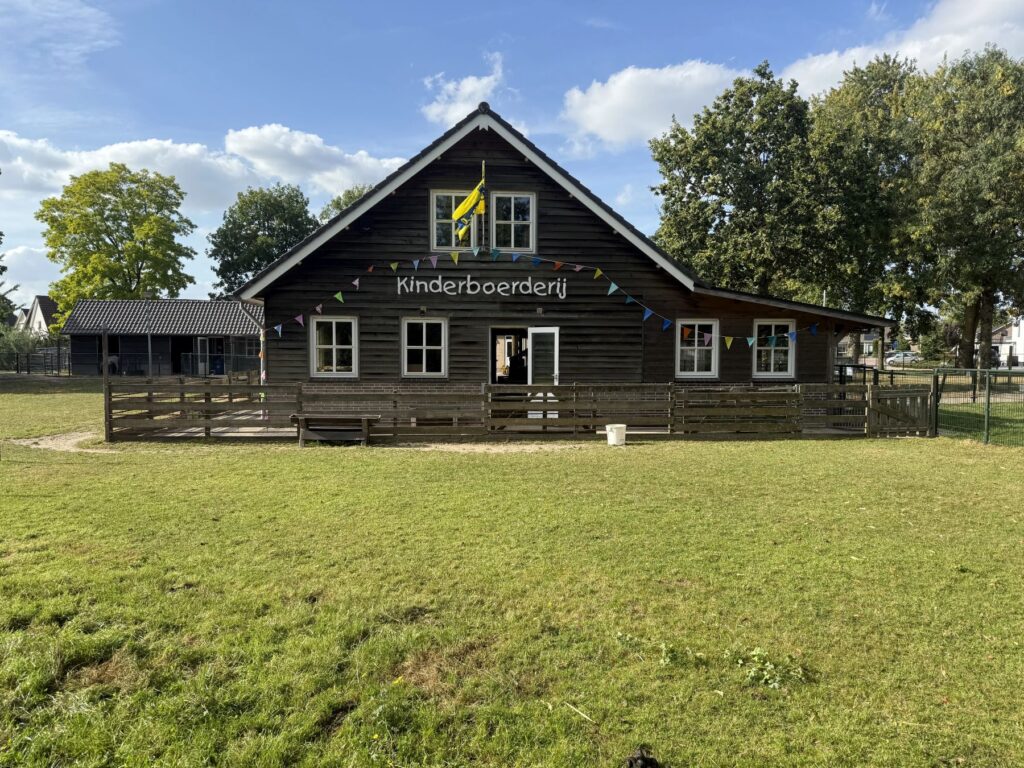 IMG 0539