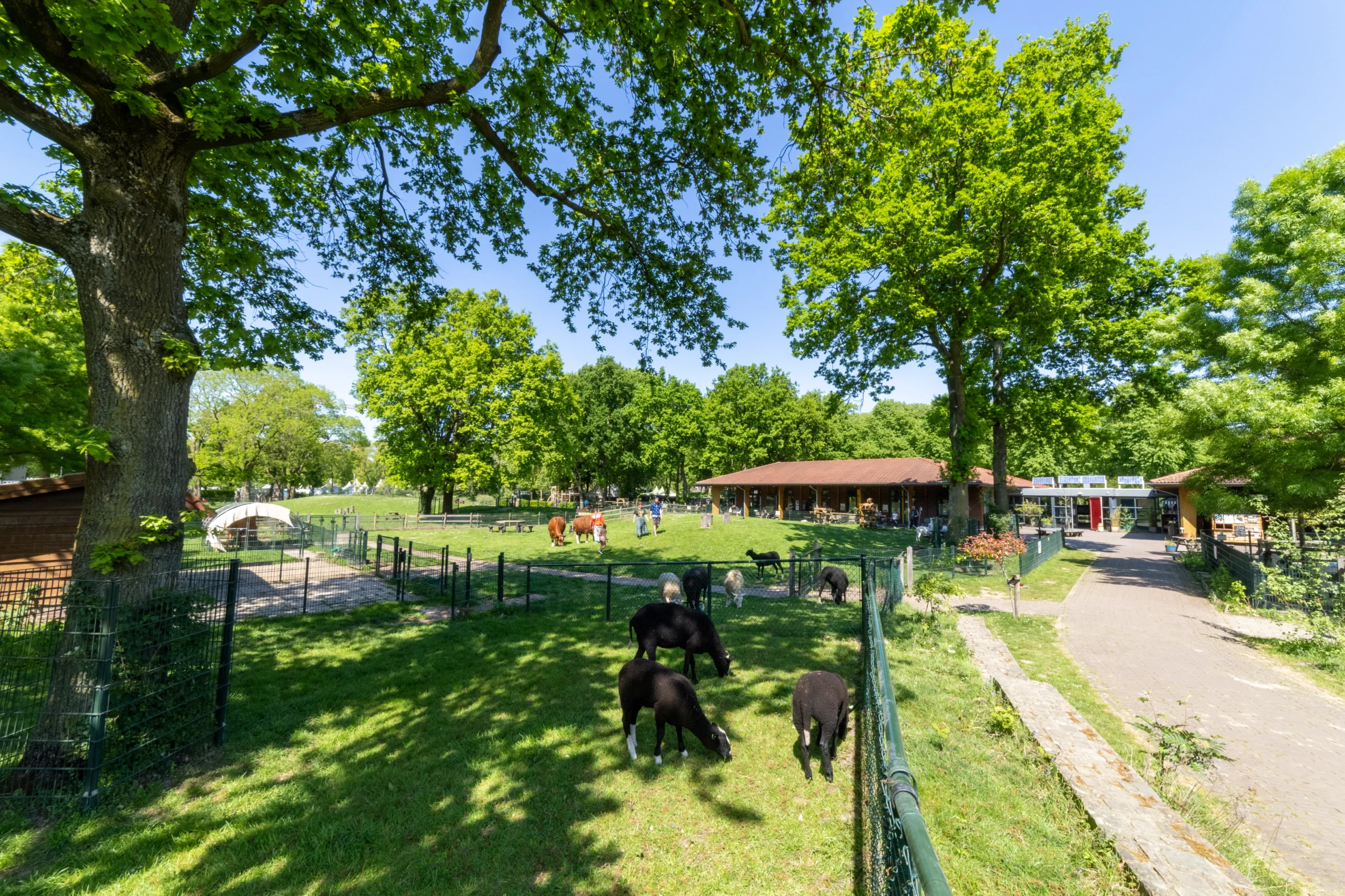 Stadsboerderij Eilandsteede