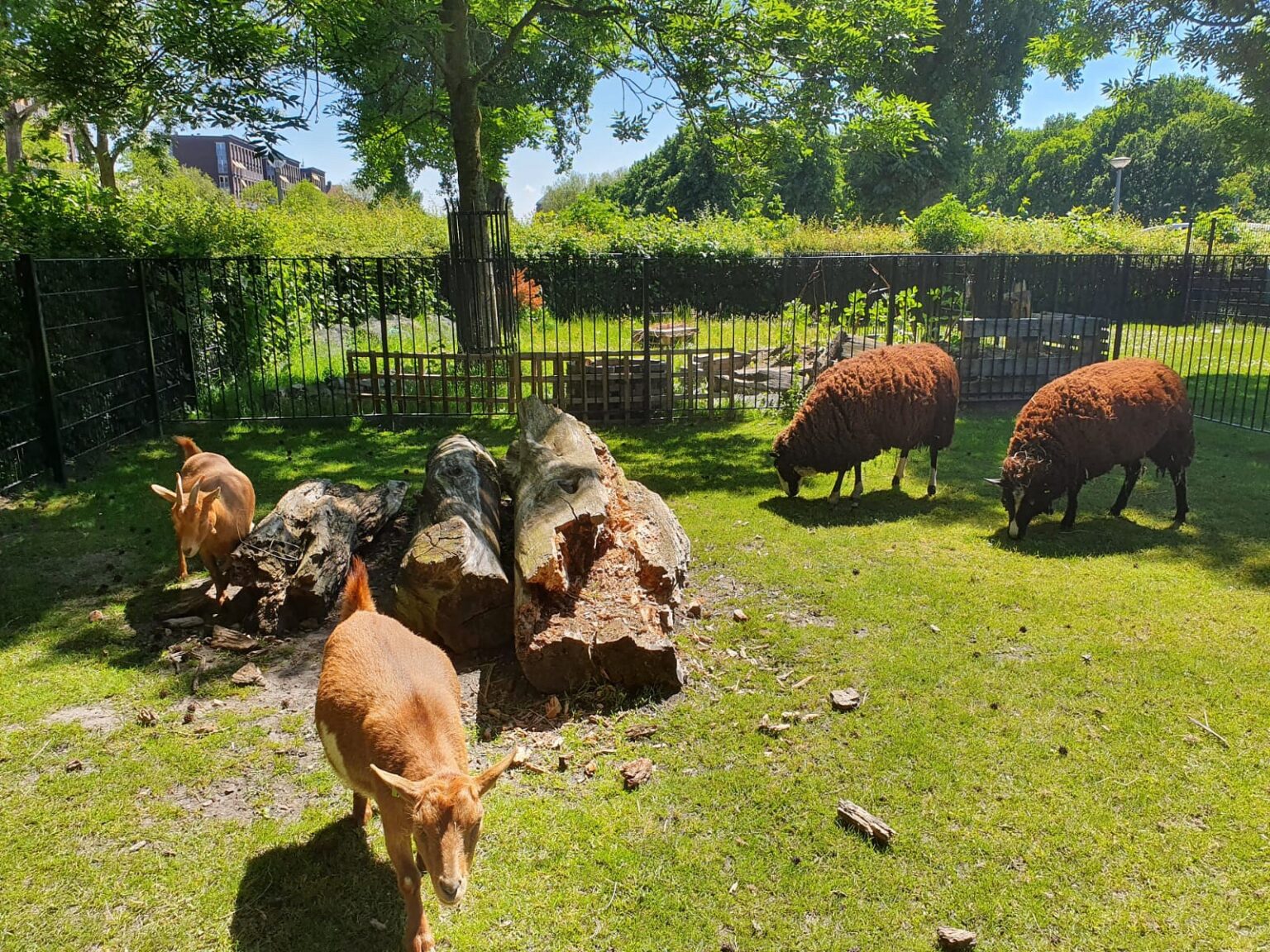 Wijkboerderij Wachterlied