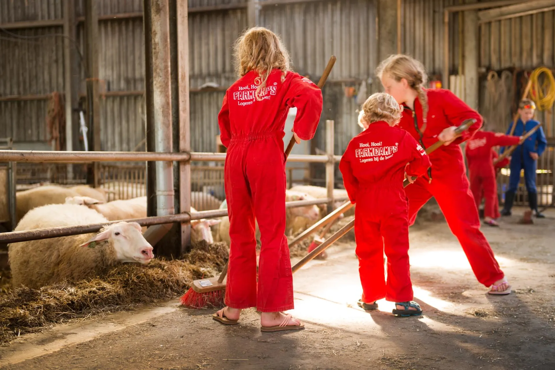 FarmCamps kinderen