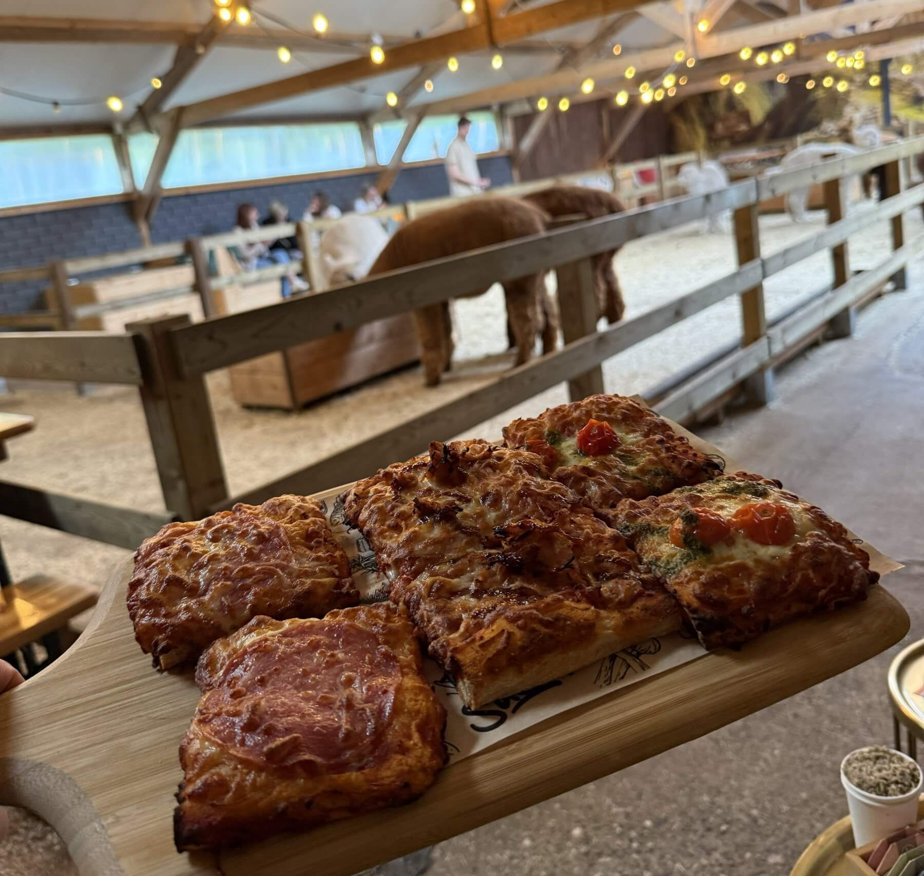 Pizza avond bij FarmCamps Alpaca Vorstenbosch