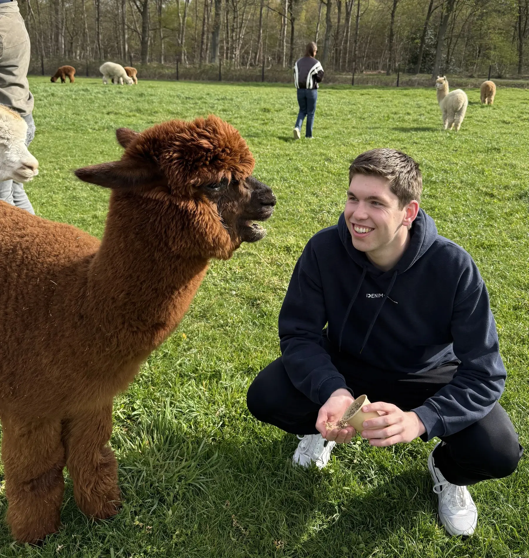 Youri-Nieuwenburg-bij-FarmCamps-Alpaca-Vorstenbosch