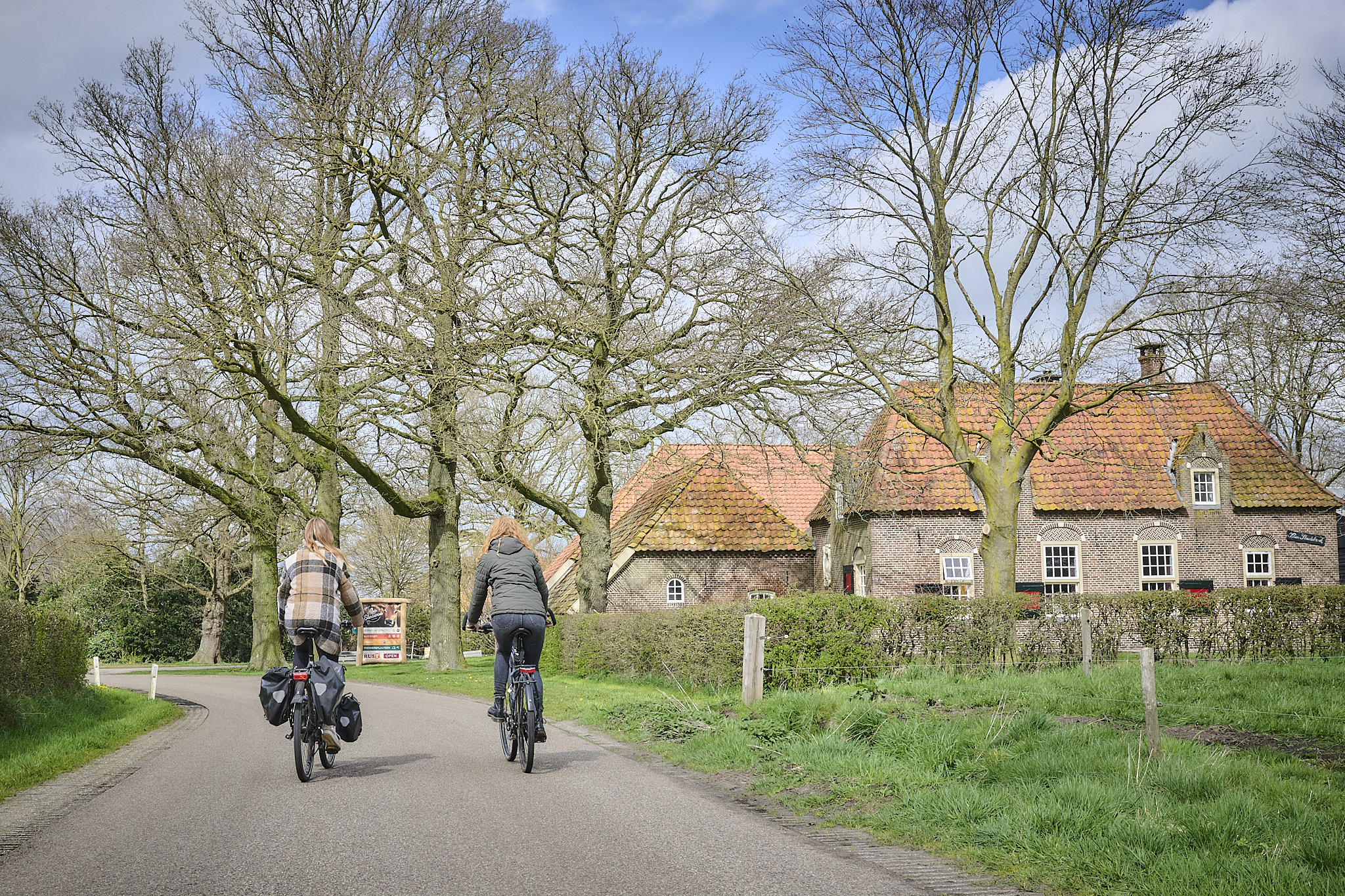 Jersey koeien Klein Slendebroek
