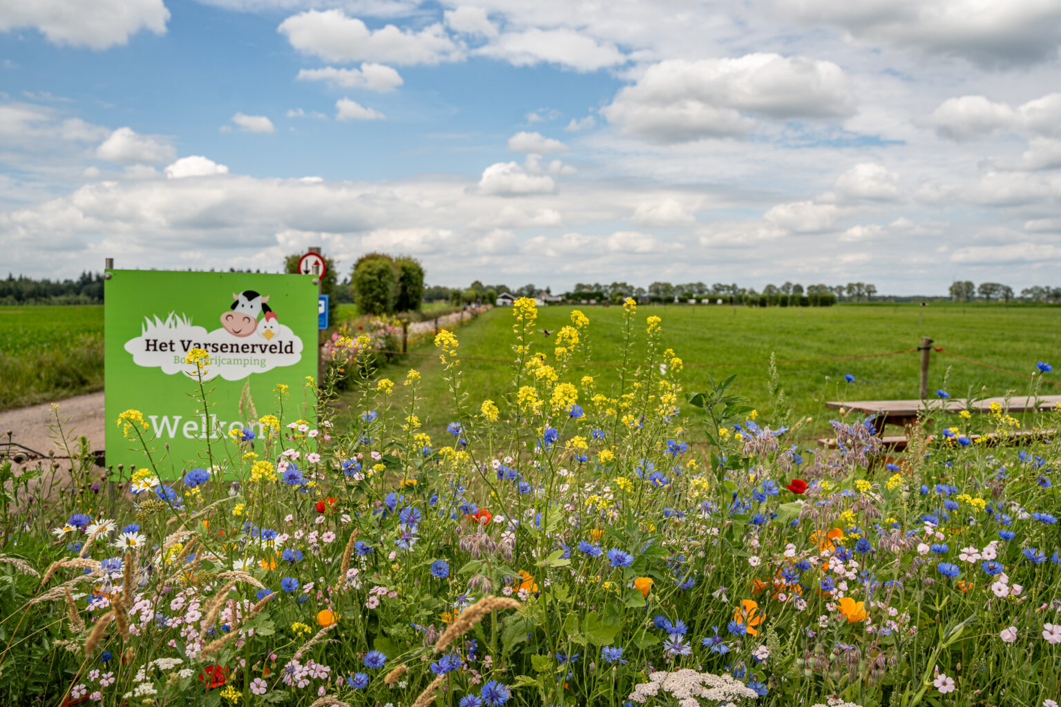 Boerderijcamping Varsenerveld