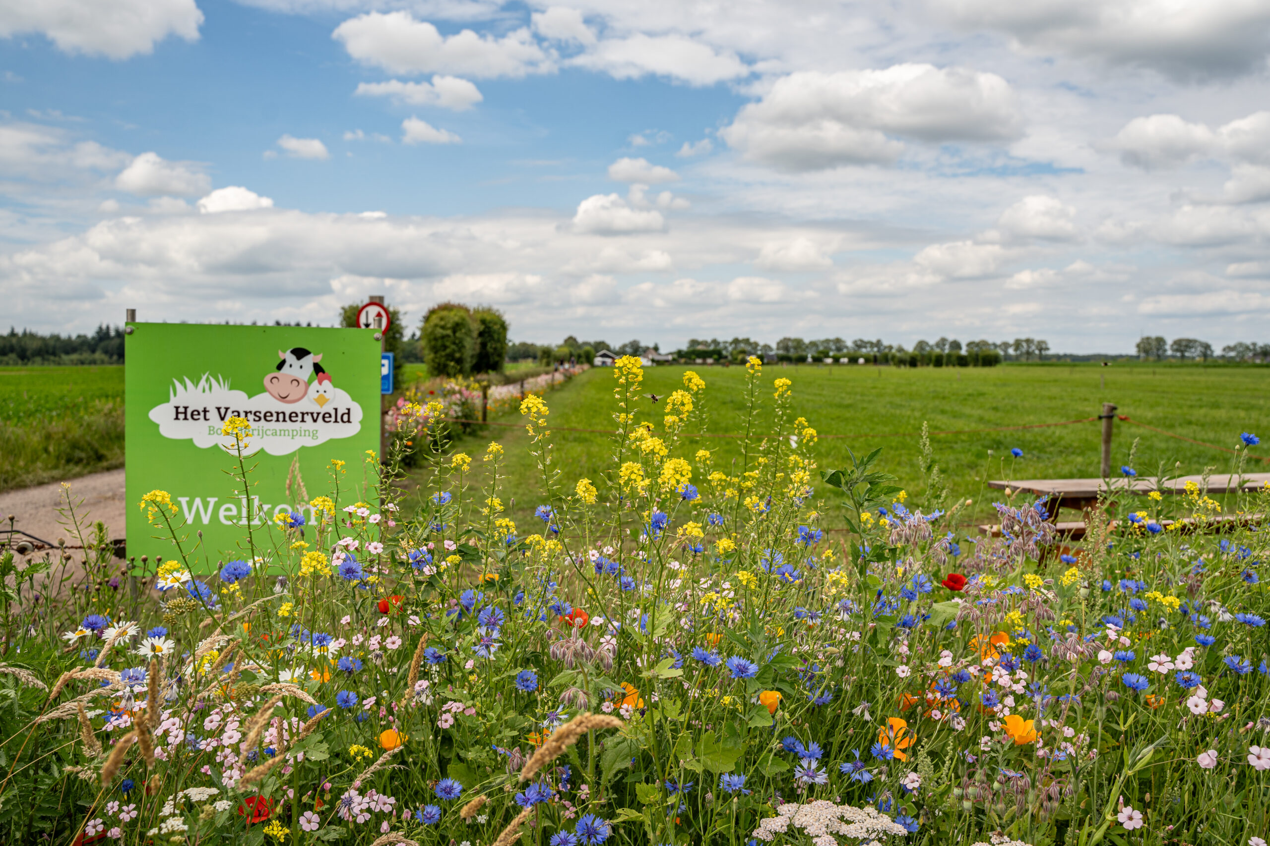 Boerderijcamping Varsenerveld