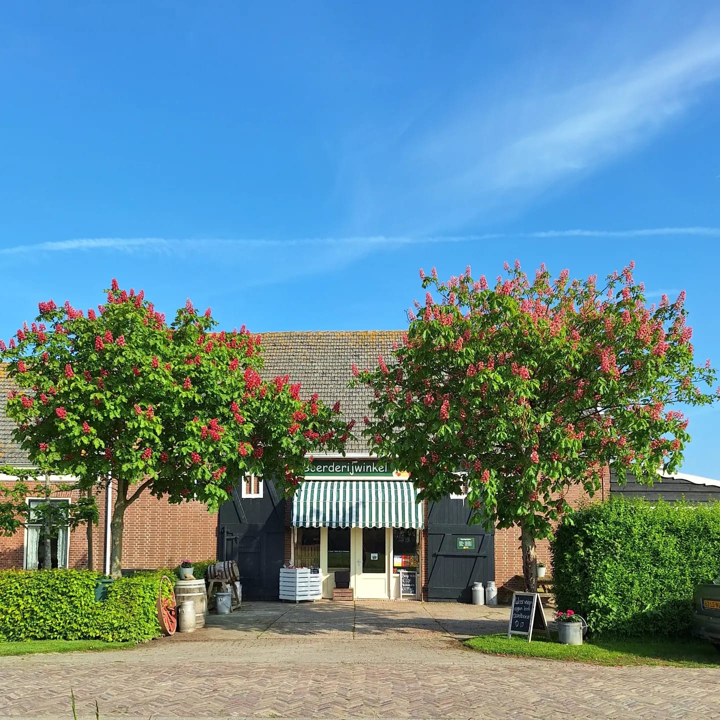 Van den Bosse fruit