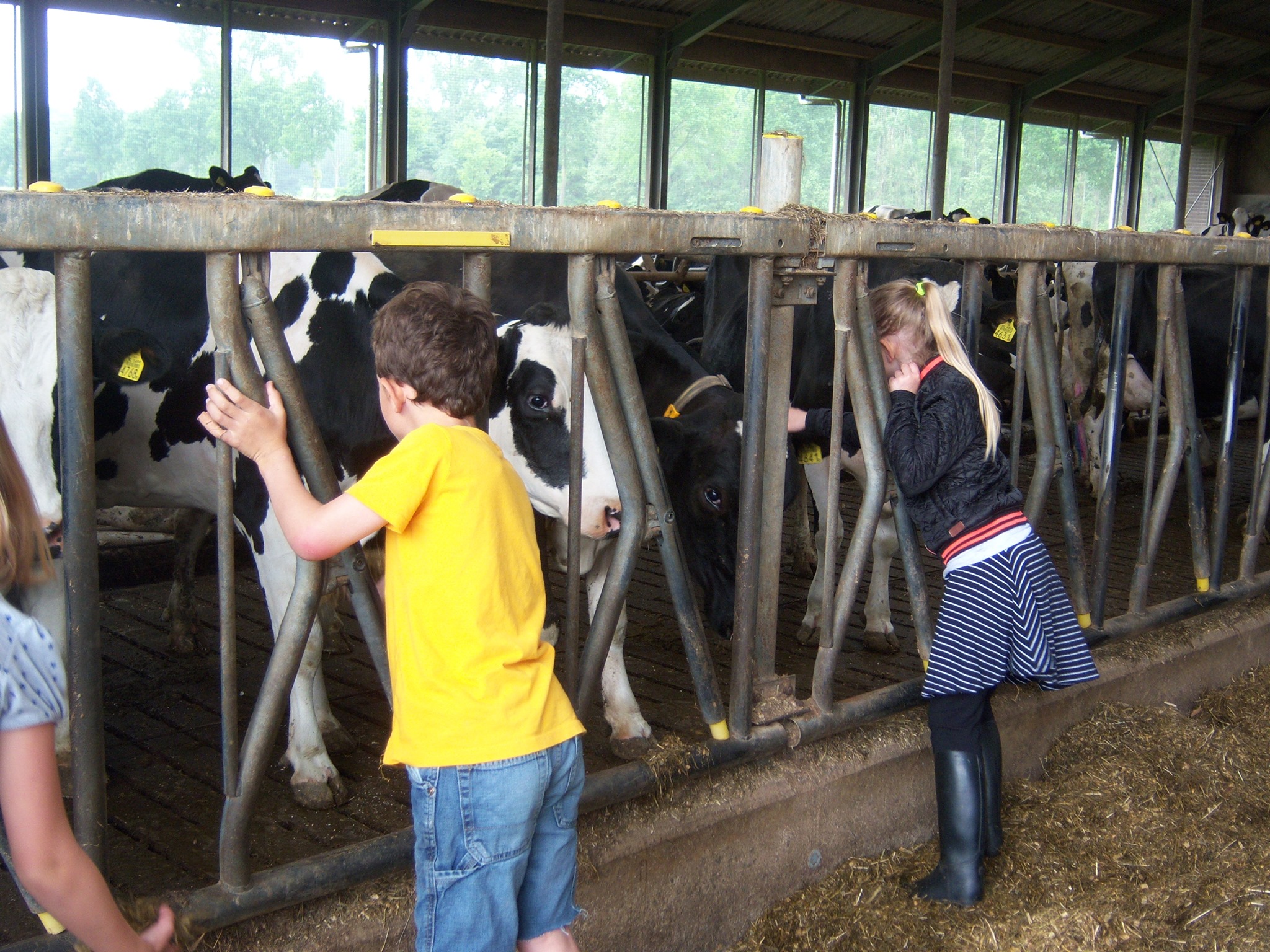Bij Boer Sjaak Boerderijbeleving