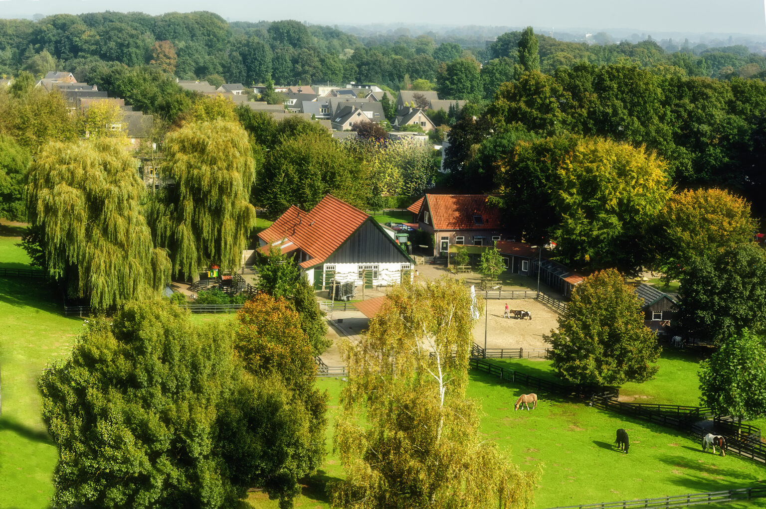 Kinderboerderij Laag Buurlo