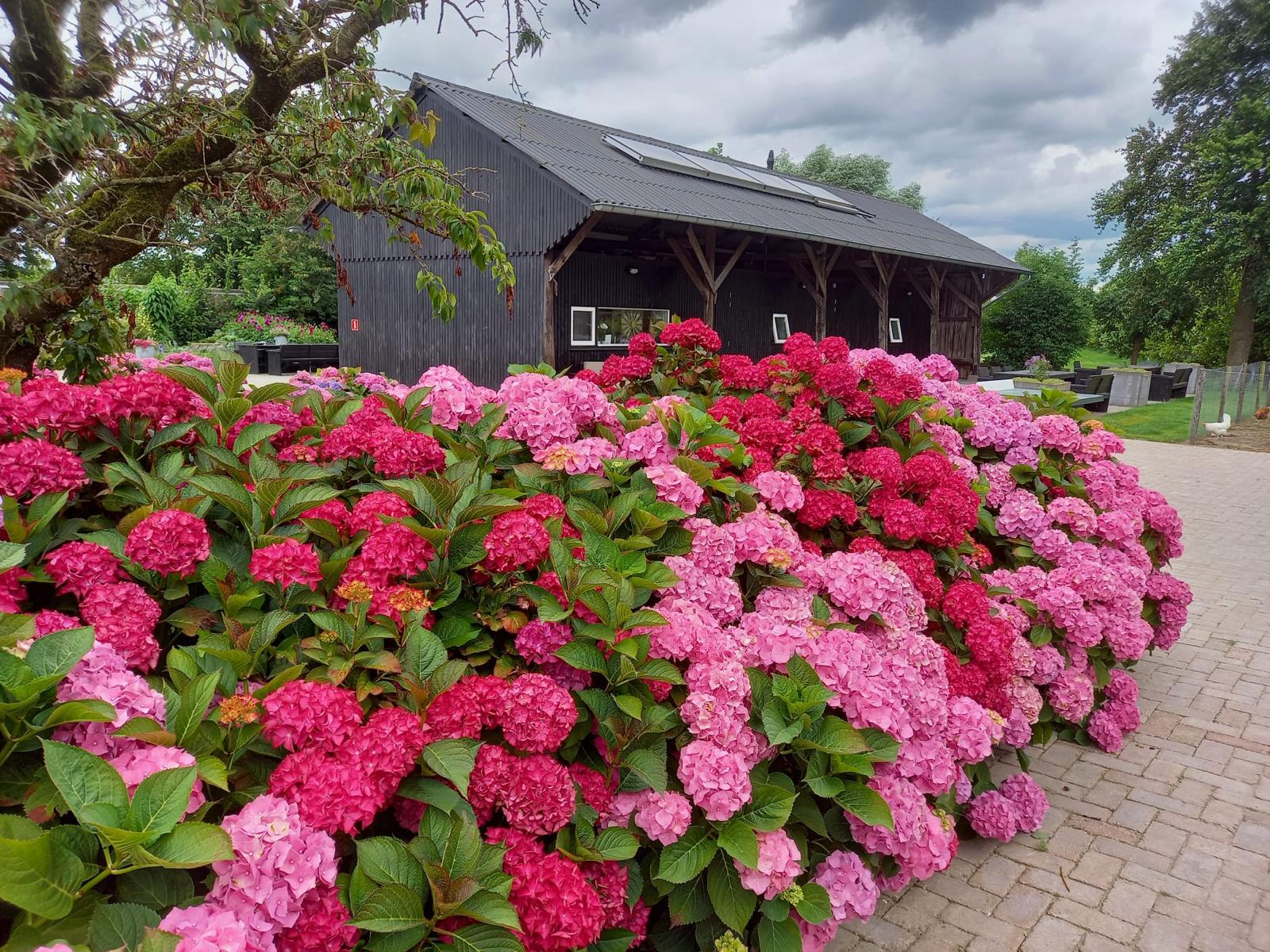 Kampeerhoeve Bussloo