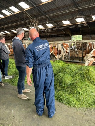 De Volkelse Hooiberg