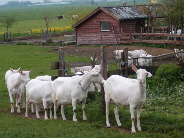Boerderij 'T Geertje