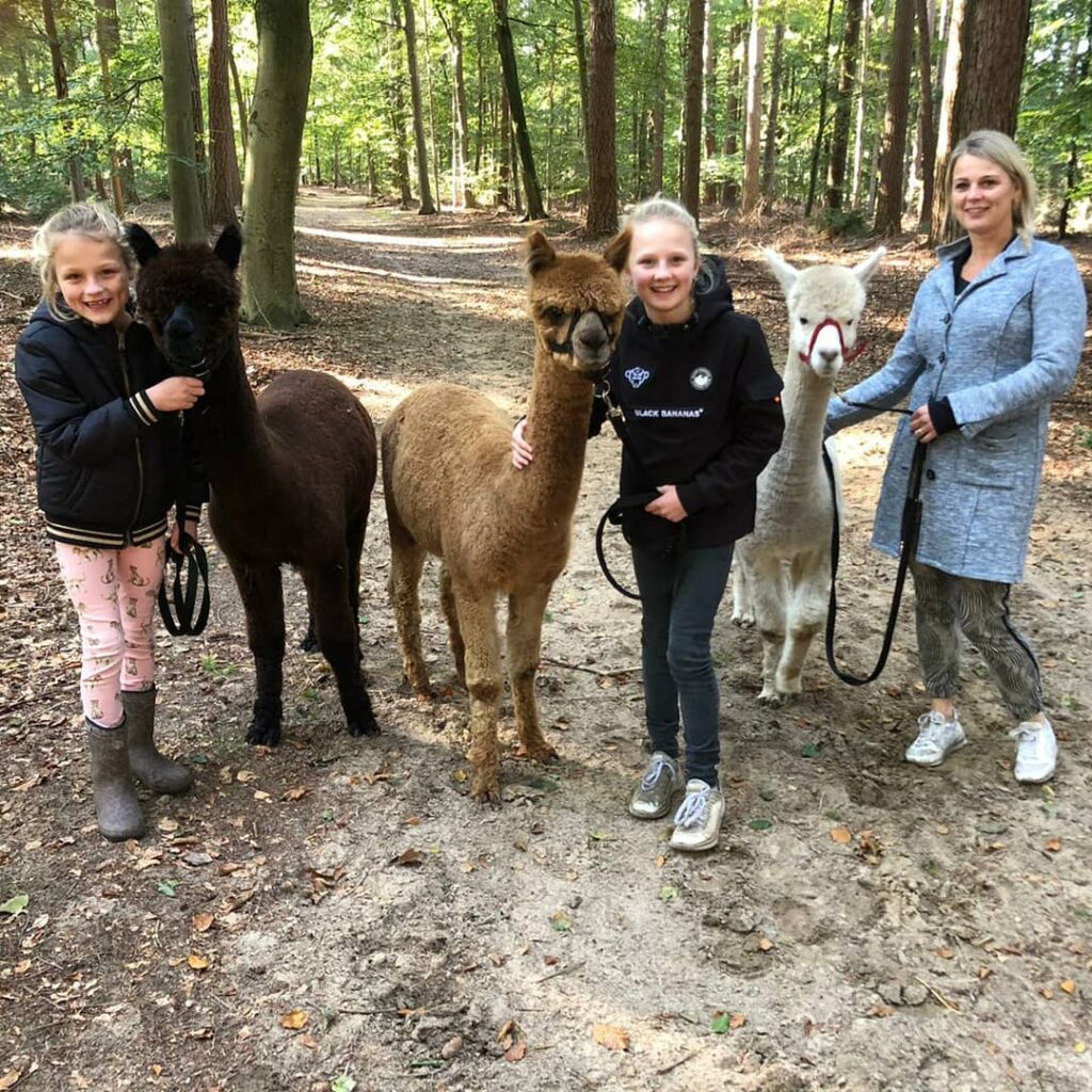 121814751 218797689587040 4160232070147980615 o