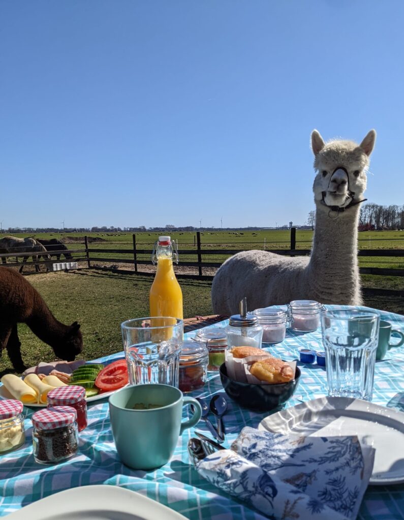 IMG 20220319 WA0012 01