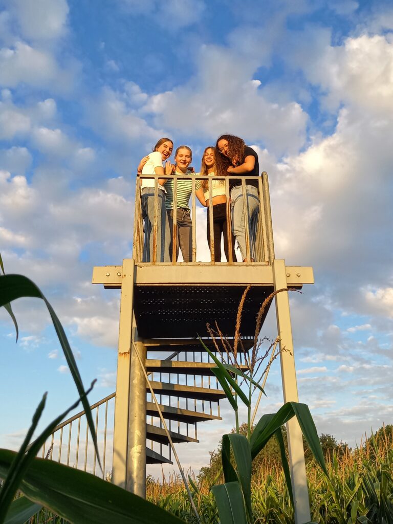 20220822_201044.jpg 20220822 201044