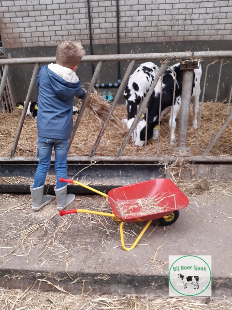 boerderijles Hoeksteen 9 oktober 2024