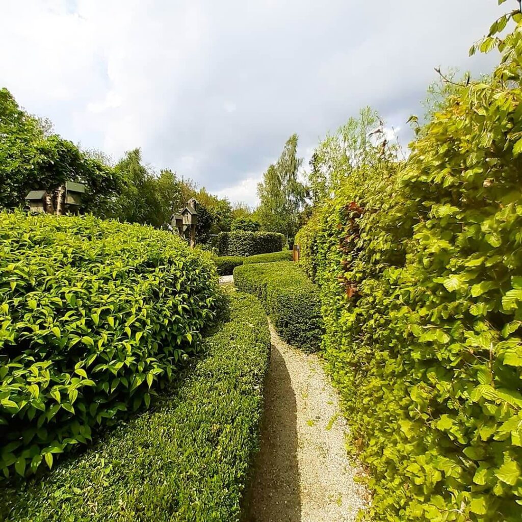 kamperen in het groen op eco camping in Drenthe 1