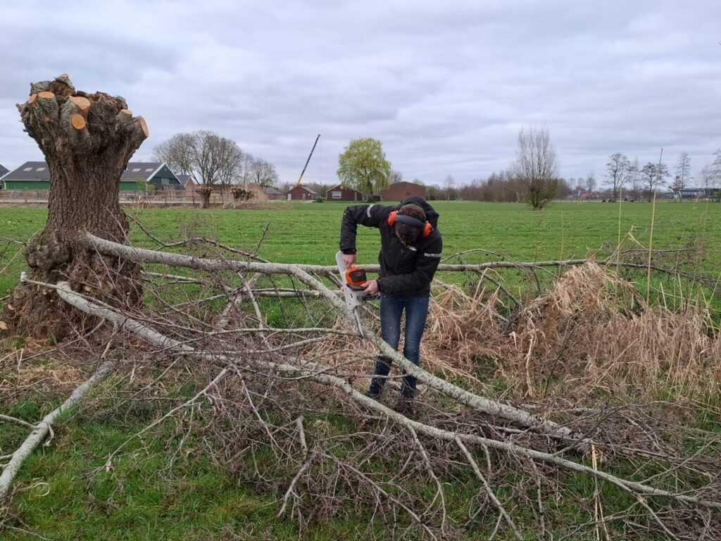 Hout zagen