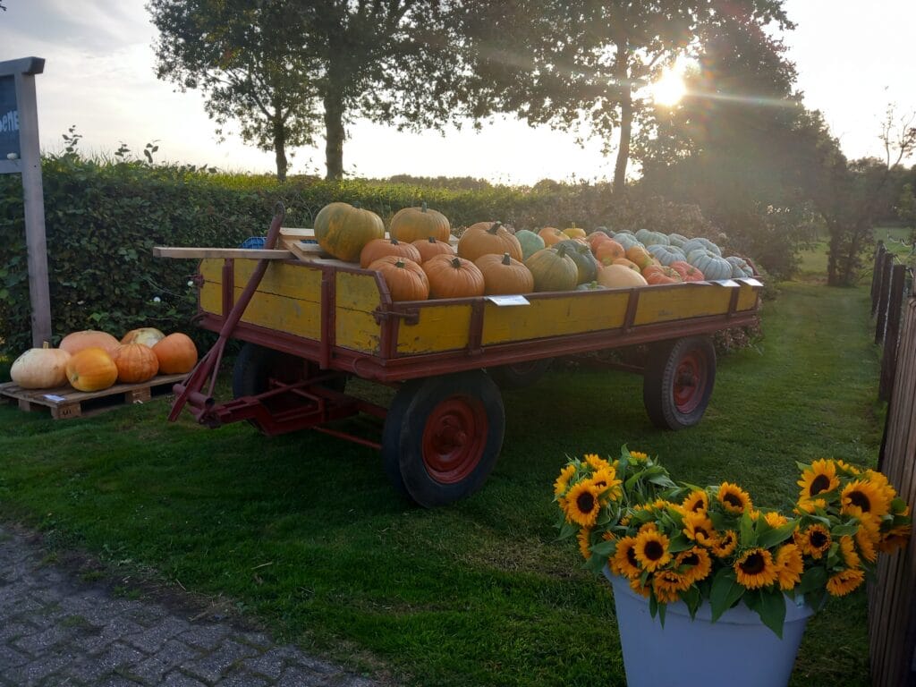 pompoenen